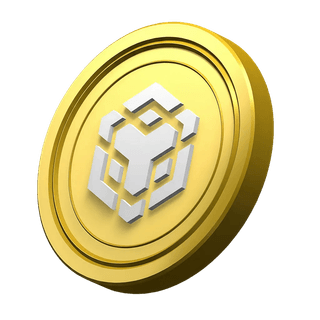 Platform information section with a decorative BNB coin